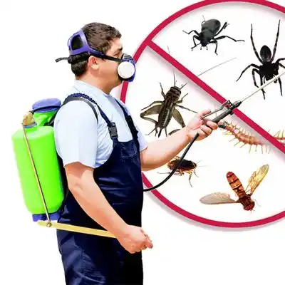 pest control Rayville